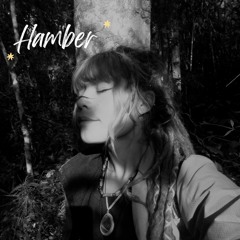 Hamber