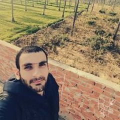 Hassan Zein Elden