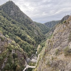 Madalin