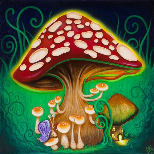 Psychedelic Mushrooms ®’s avatar