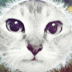 ñïğġėř łöřď 15