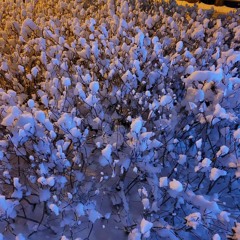 winterkim95