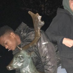 Yung D