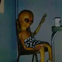 zooted_