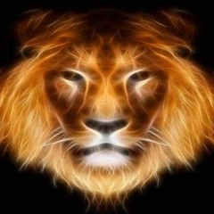 King Lion