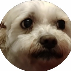 MrBurnification
