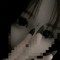 zxcspace