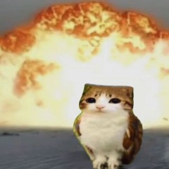 regi