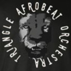 triangle afrobeat orchestra