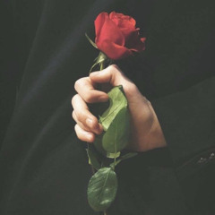 Mohammed Alshareef