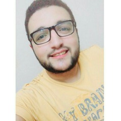 Mahmoud Salah Fahmy