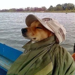 zoi' de cachorro