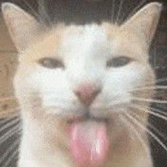 Devyokat