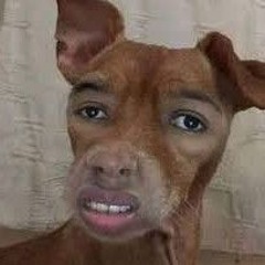 ｄｉｂ