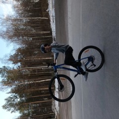 Elvis Lindh