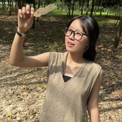 Thư Huỳnh