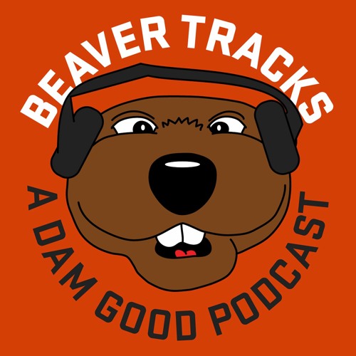 Beaver Tracks’s avatar