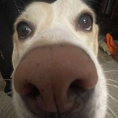 Cj