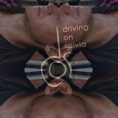 driving on salvia