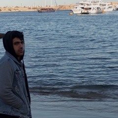 Eslam M El-Tohamy