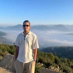 sepehr saremi