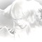 reinhail