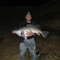 Jarrod Beatt