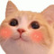 Miss Large Chin