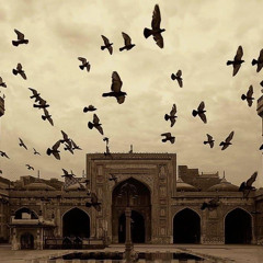 Dr. Hajar M. Abdallah