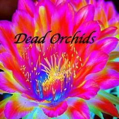 Dead Orchids