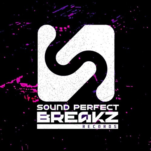 Sound Perfect Breakz Rec. artist photo