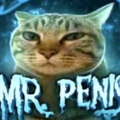 MR. PENIS