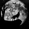 WOLFY
