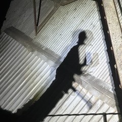 LLAPSE