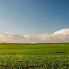 Nuke
