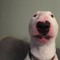 Tusco