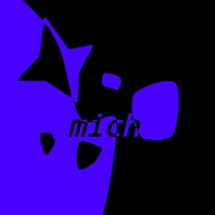 mich the kind of idiot