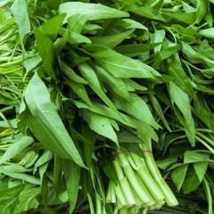 KangKung Radio