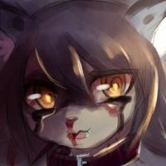 XIIIO La Esponjosa Mapache