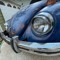 Bugster