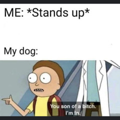 Jorge Issac Contreras