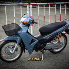 Phạm Duy Tú