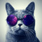 Hossein