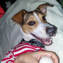 Princess Mia