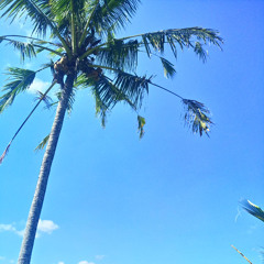 Bali_lover