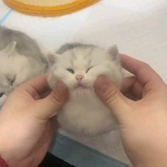 CutieME