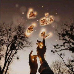 💫Dreamer💫