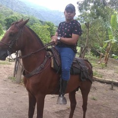 LUIS FELIPE