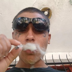 caiman369