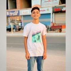 علاء العريني